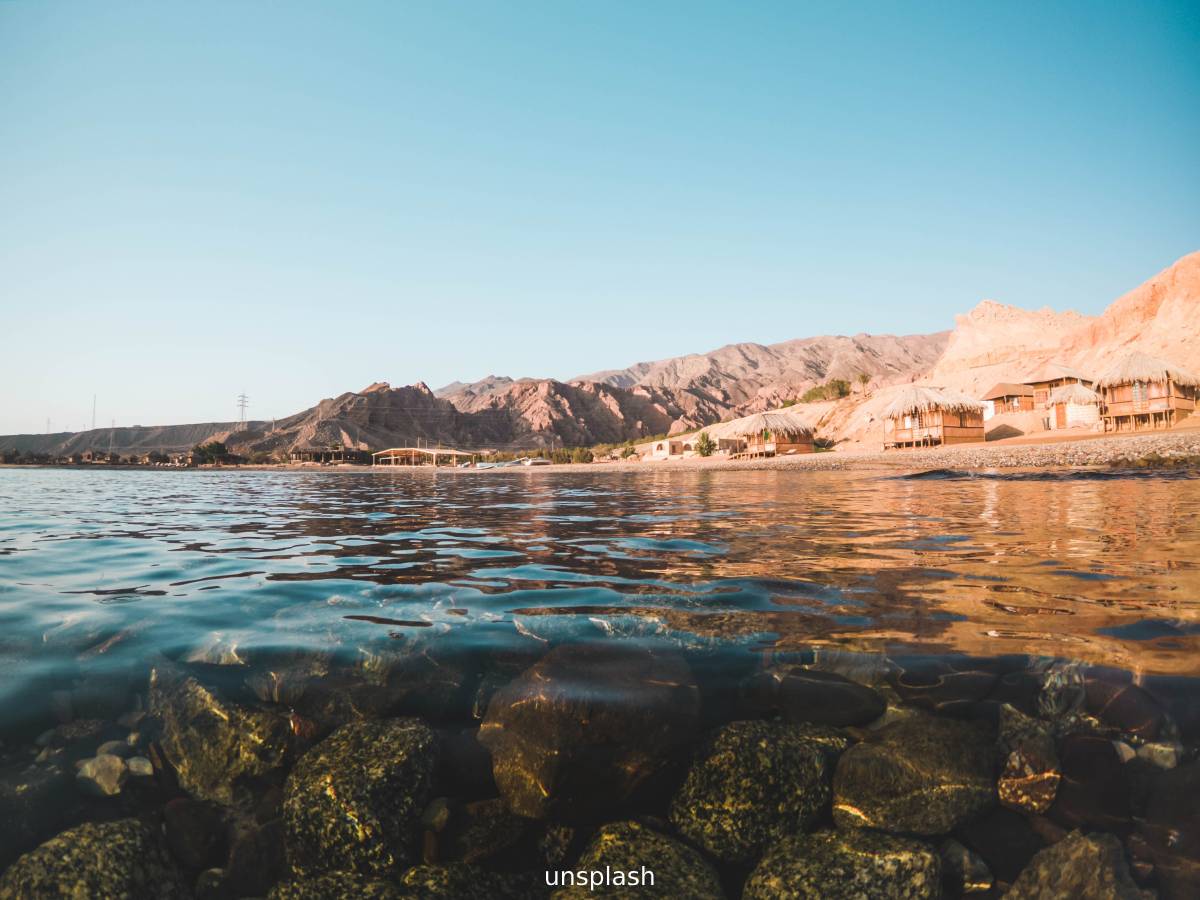 Indiana  Bewonder Petra